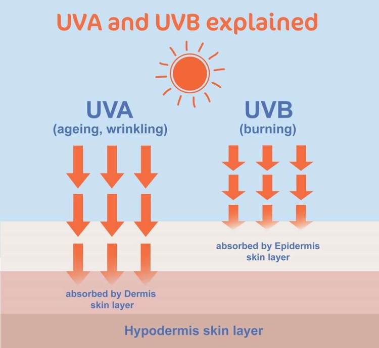 UVA  UVB sunscreen
